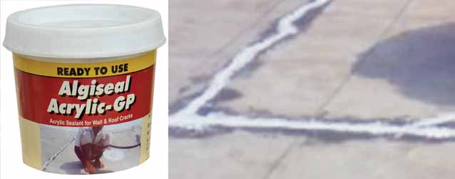 ALGISEAL ACRYLIC GP