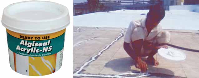 ALGISEAL ACRYLIC NS