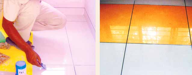 ALGITILE GROUT EPX