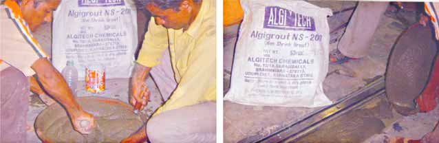 ALGIGROUT NS 200